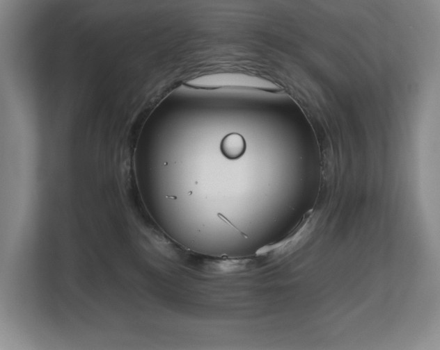 X0000112530184200908241514