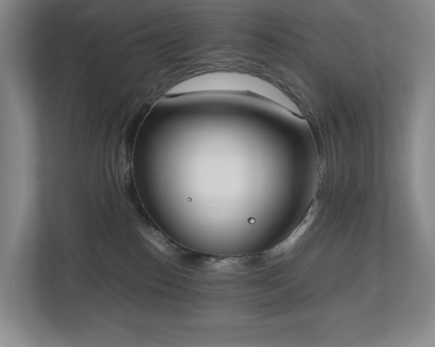 X0000112530186200908241514