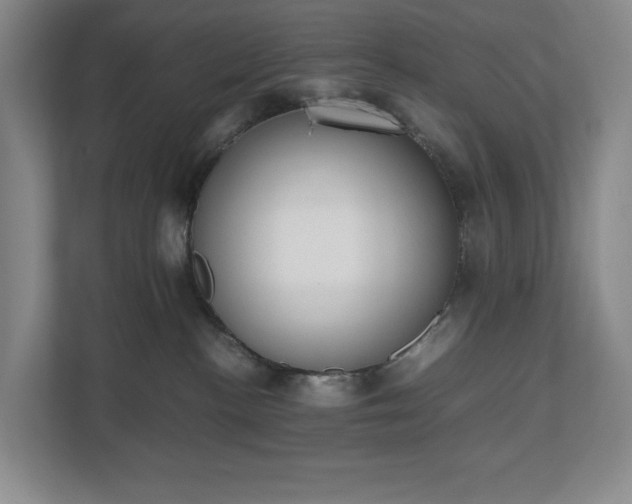 X0000112530188200908241514