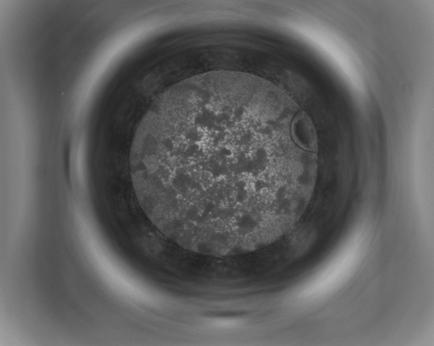 X0000112530189200908241514