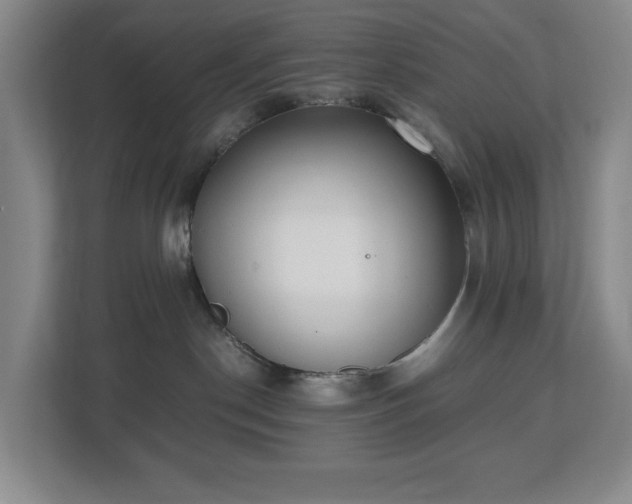 X0000112530190200908241514