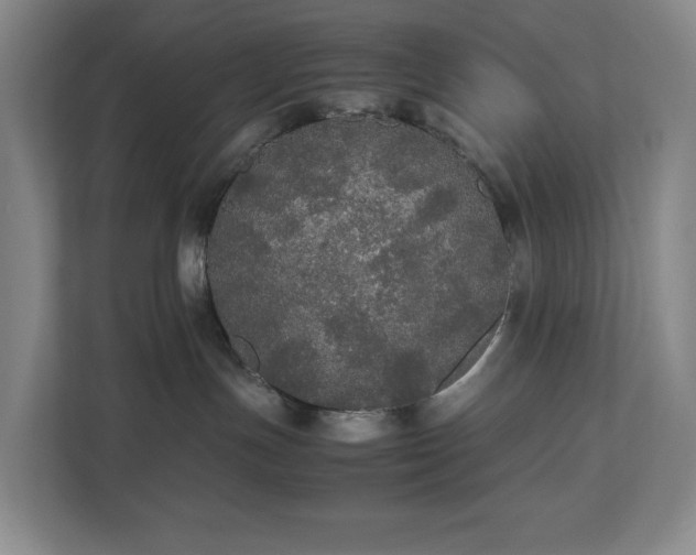 X0000112530191200908241514