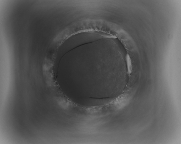 X0000112530192200908241514