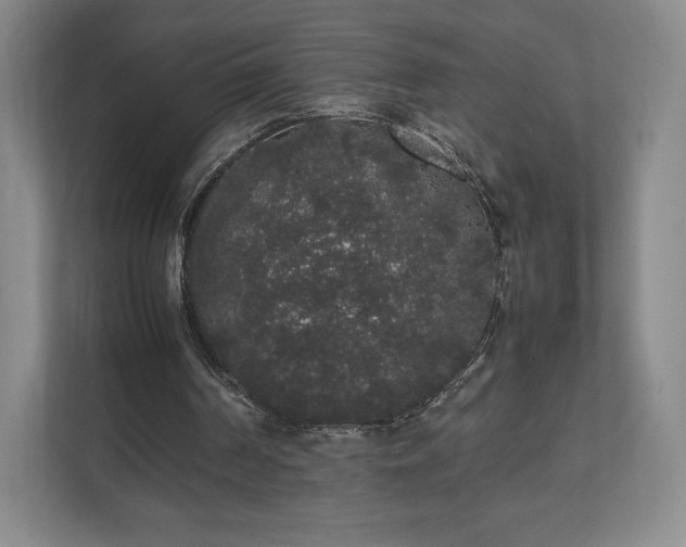X0000112530194200908241513