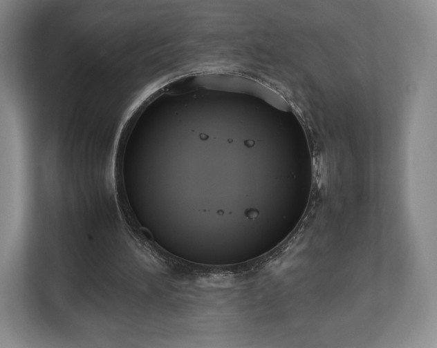 X0000112530196200908241513