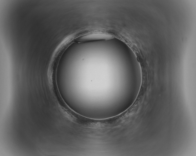 X0000112530197200908241513