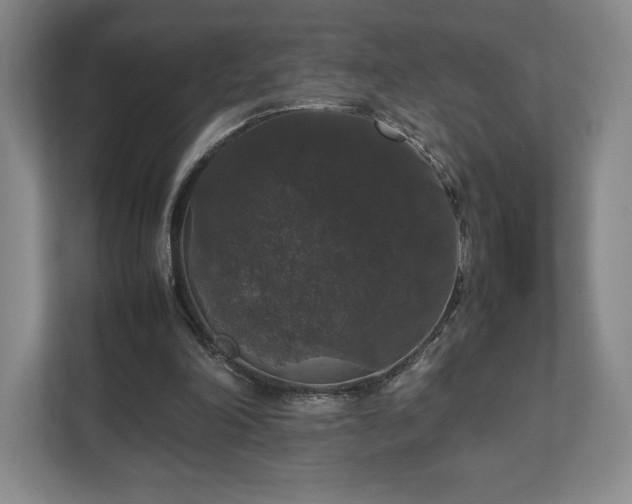 X0000112530198200908241513