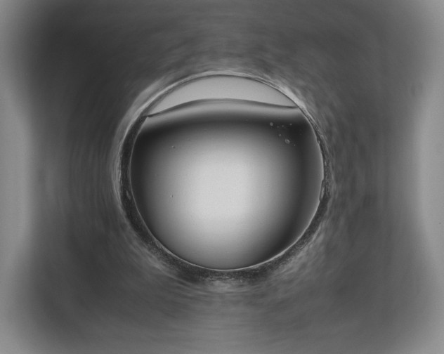 X0000112530199200908241513
