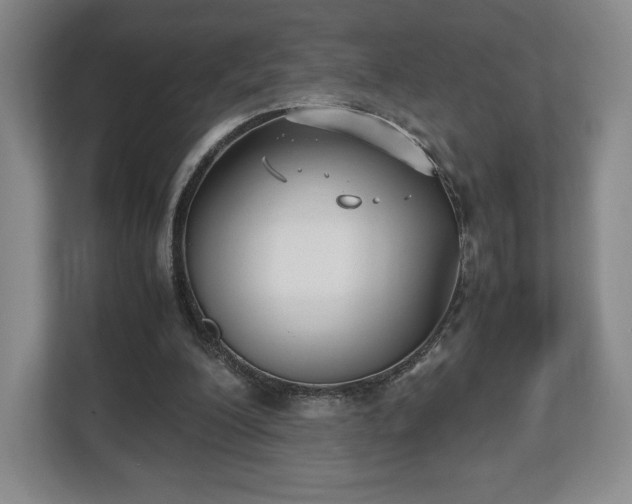 X0000112530200200908241513