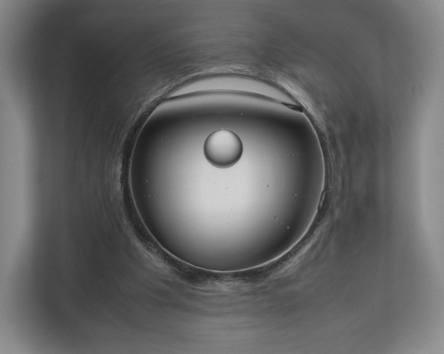 X0000112530201200908241513