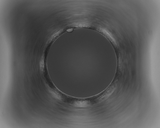 X0000112530202200908241513