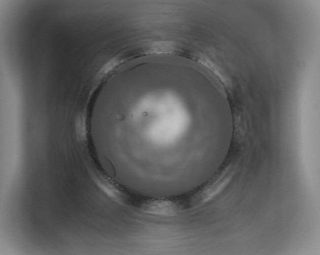 X0000112530203200908241513