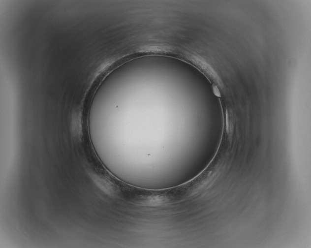 X0000112530204200908241513