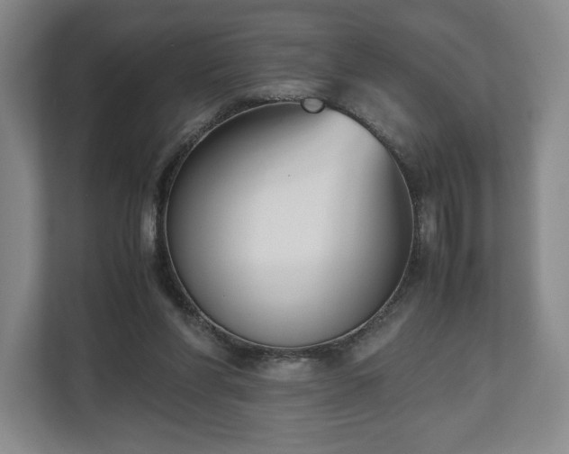 X0000112530206200908241513