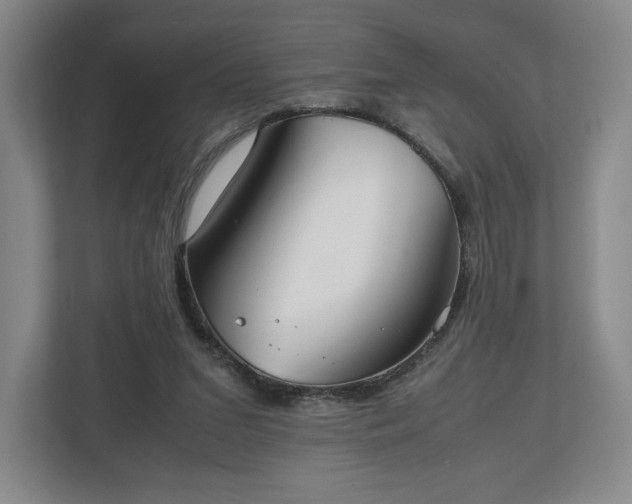 X0000112530207200908241513