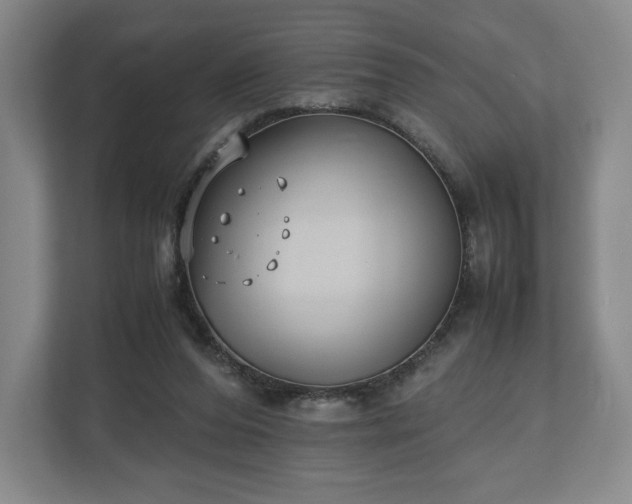 X0000112530208200908241513