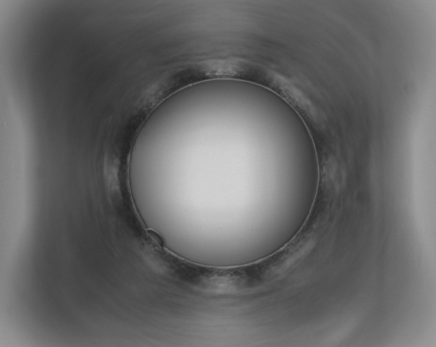 X0000112530209200908241513