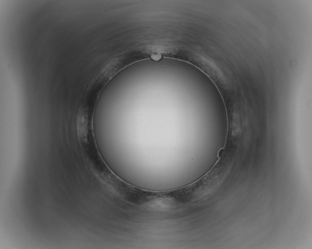 X0000112530210200908241513