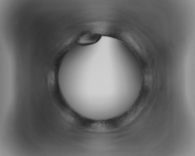 X0000112530211200908241513