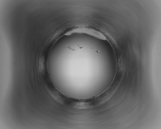 X0000112530212200908241513