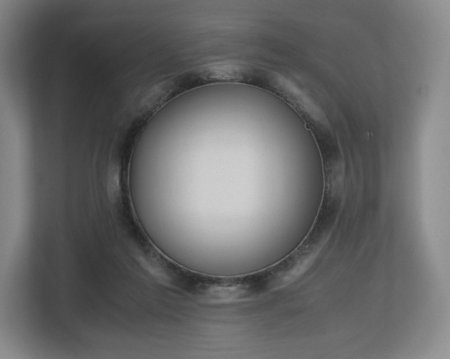 X0000112530213200908241513