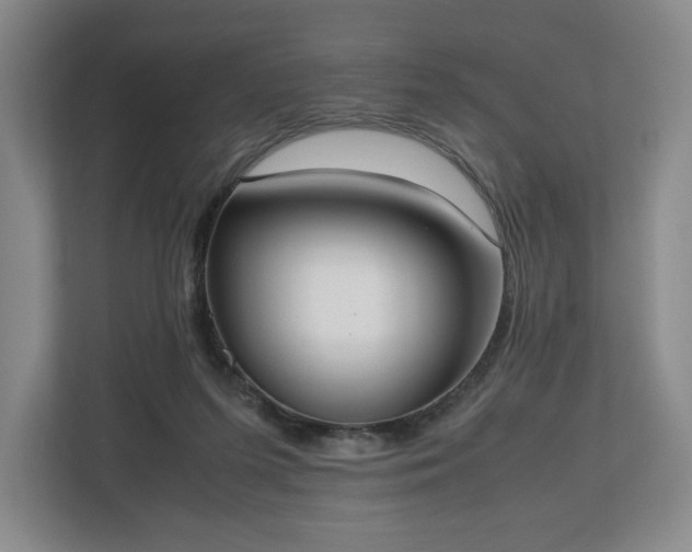 X0000112530215200908241513