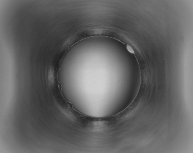 X0000112530216200908241513