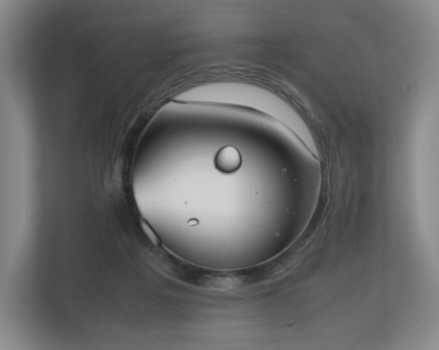 X0000112530217200908241513