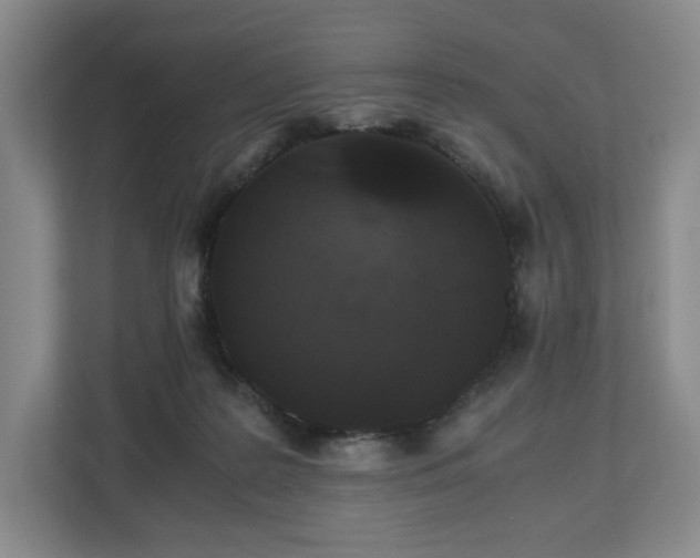 X0000112530219200908241513