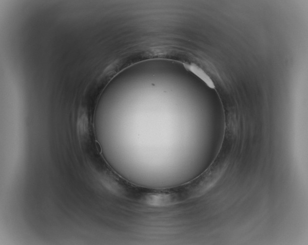 X0000112530220200908241513