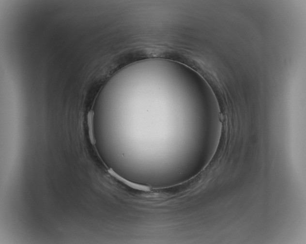 X0000112530221200908241513