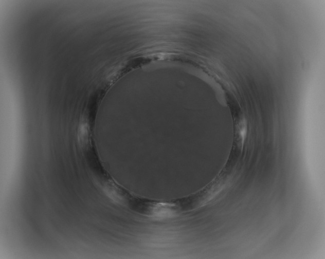 X0000112530222200908241513