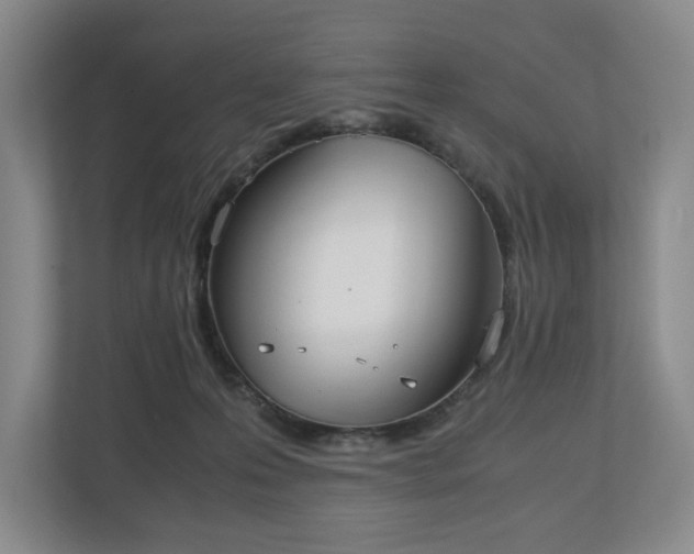 X0000112530223200908241513