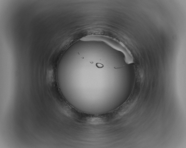 X0000112530224200908241513