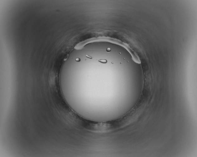 X0000112530225200908241513