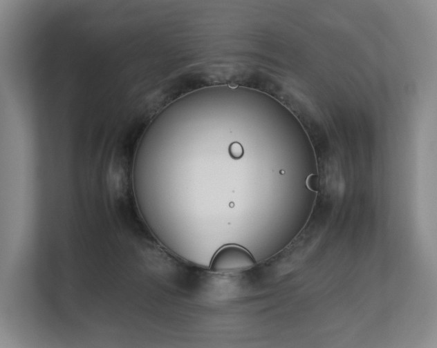 X0000112530226200908241513