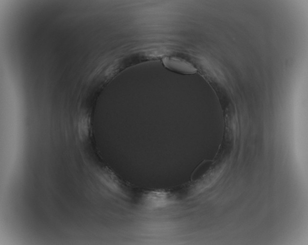 X0000112530227200908241513