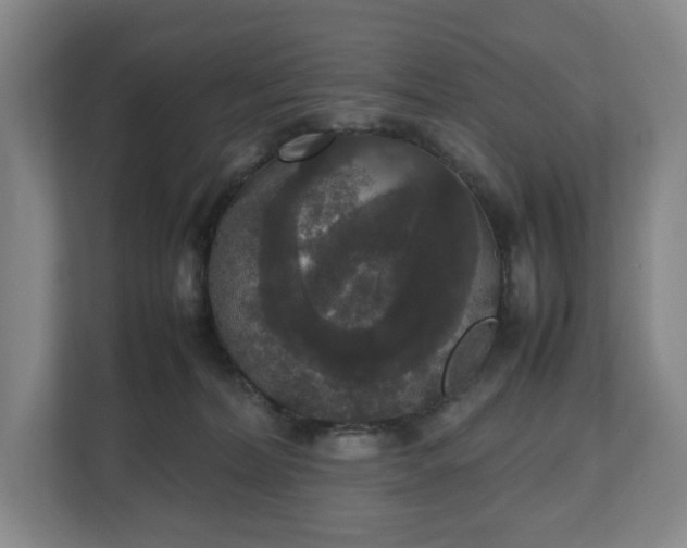 X0000112530228200908241513