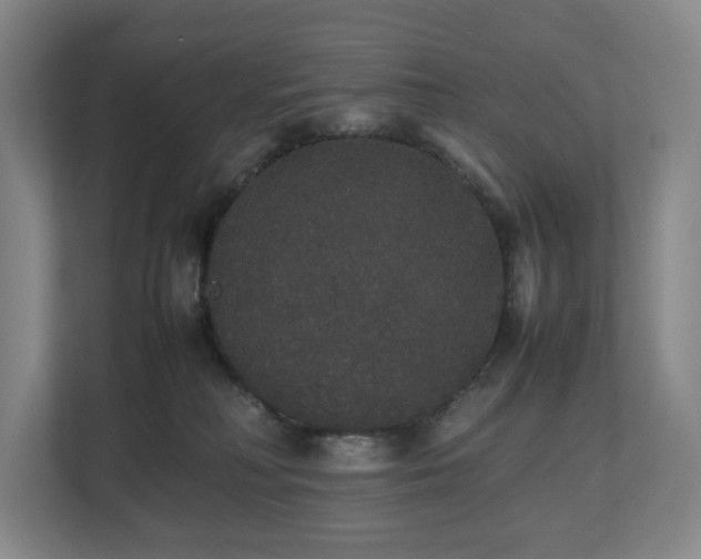 X0000112530230200908241513