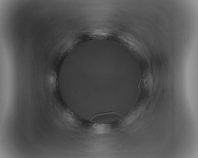 X0000112530231200908241513