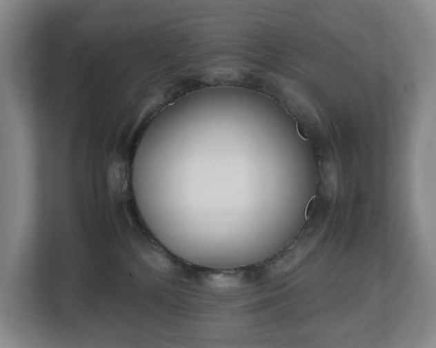 X0000112530232200908241513