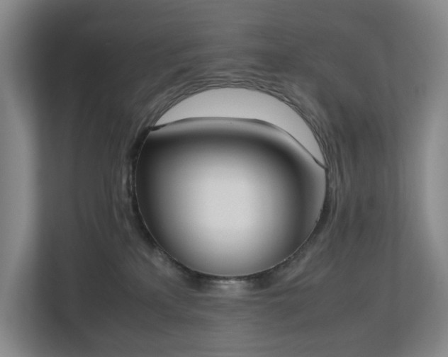 X0000112530233200908241513