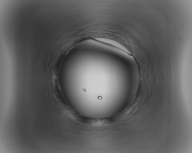 X0000112530235200908241513