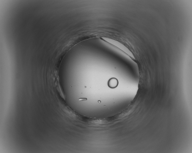 X0000112530237200908241513