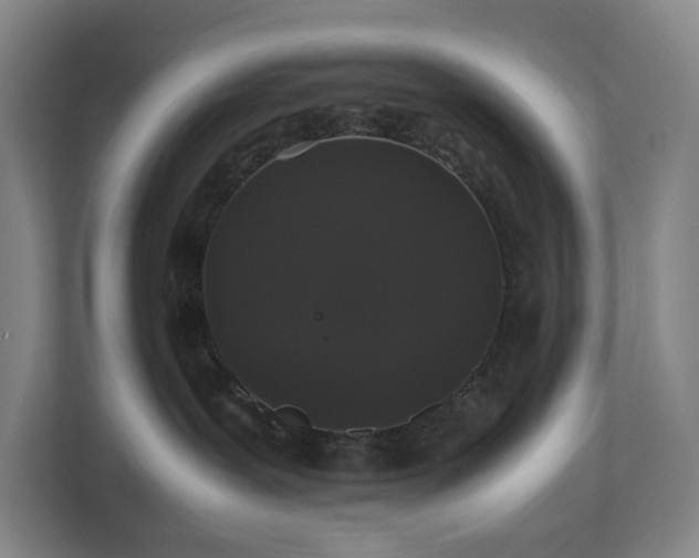 X0000112530239200908241513