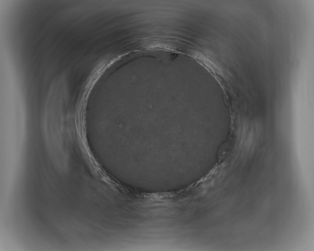X0000112530241200908241512
