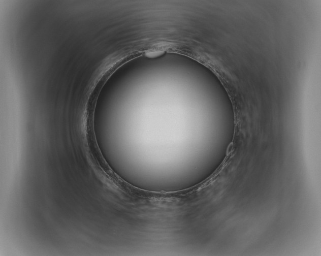 X0000112530242200908241512