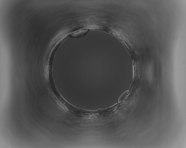 X0000112530243200908241512