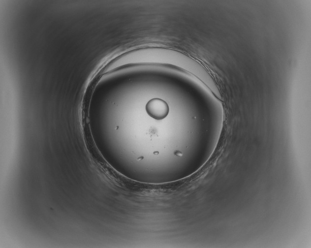 X0000112530244200908241512