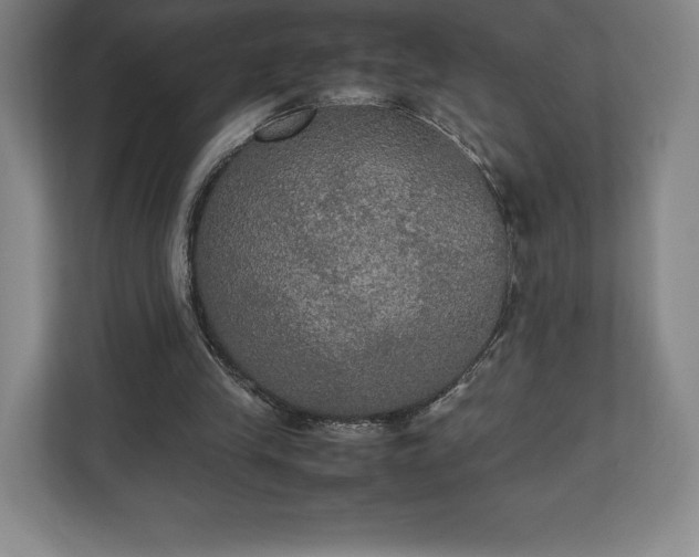 X0000112530245200908241512
